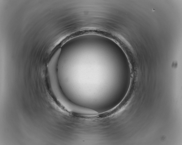 X0000092300969200709141316