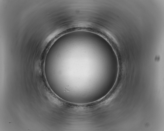 X0000092300970200709141316