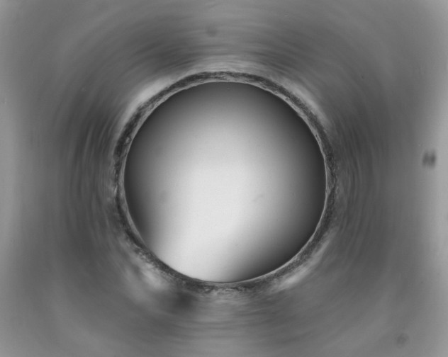 X0000092300974200709141316