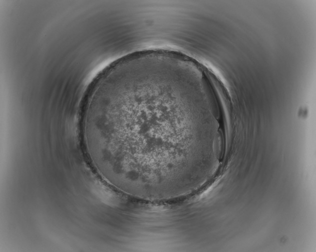 X0000092300975200709141316