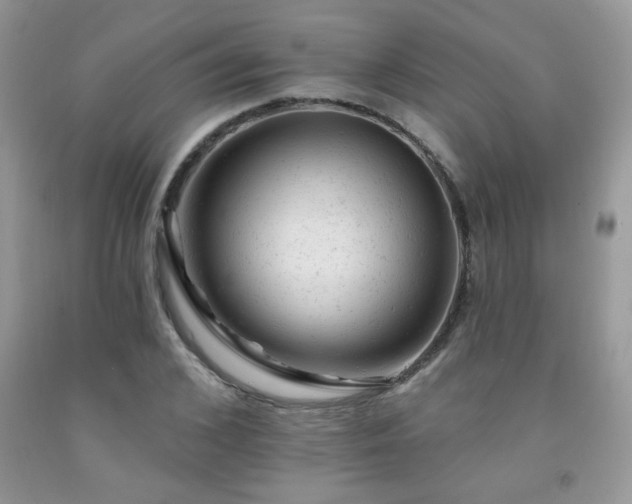 X0000092300976200709141316