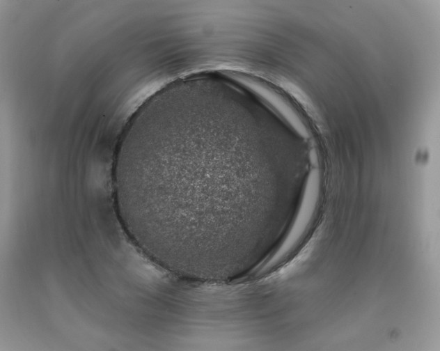 X0000092300977200709141316