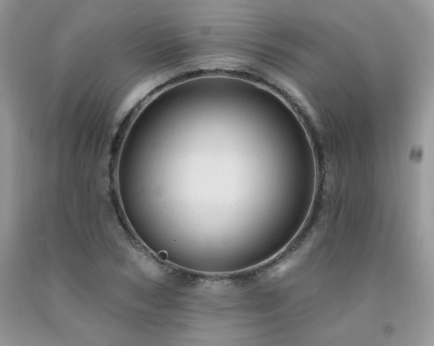 X0000092300978200709141316