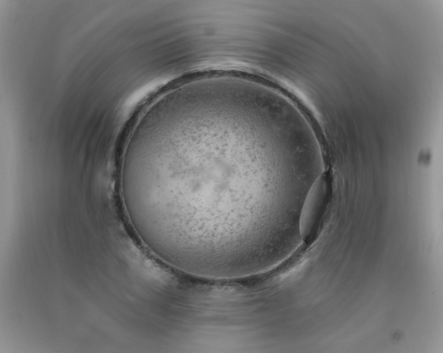 X0000092300979200709141316