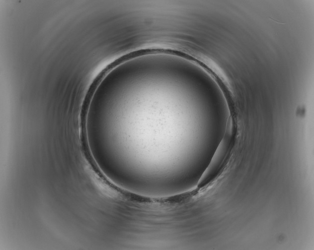 X0000092300980200709141316