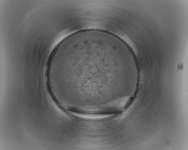 X0000092300983200709141316