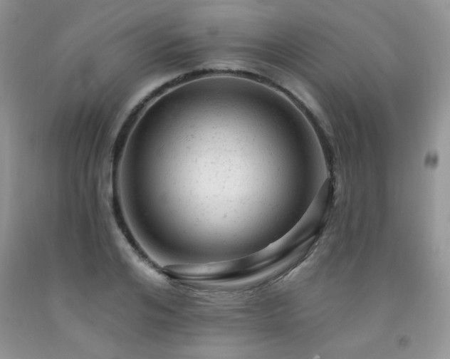 X0000092300984200709141316