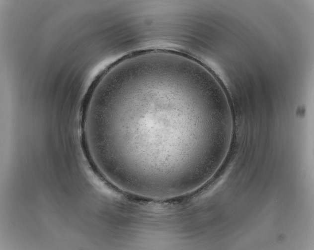 X0000092300987200709141316