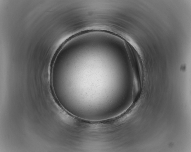 X0000092300988200709141316