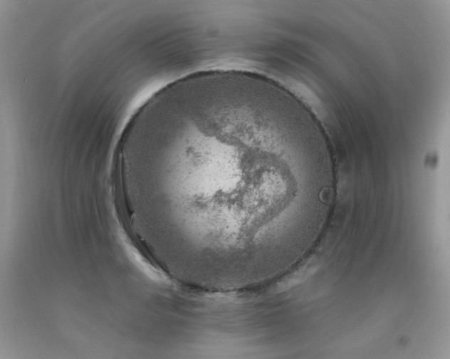 X0000092300990200709141316
