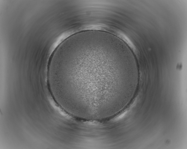 X0000092300994200709141316