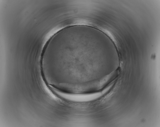 X0000092300995200709141316