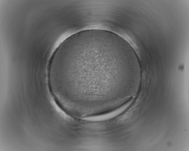 X0000092300998200709141316
