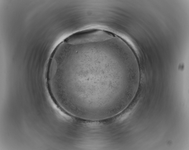 X0000092300999200709141316
