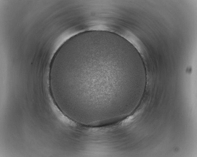 X0000092301000200709141316