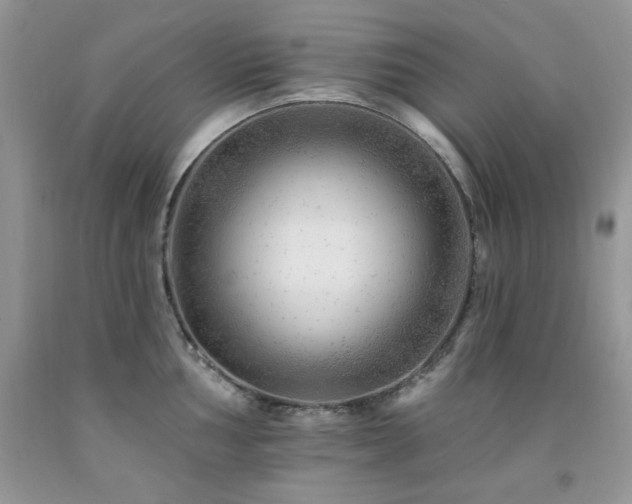 X0000092301002200709141316