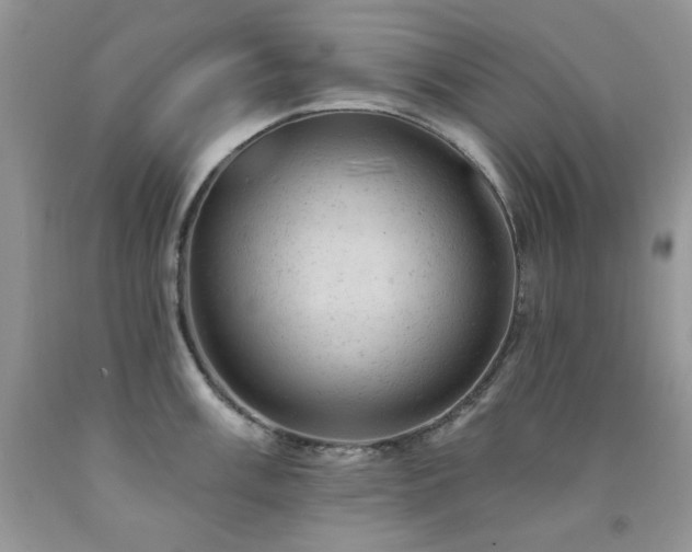 X0000092301003200709141316