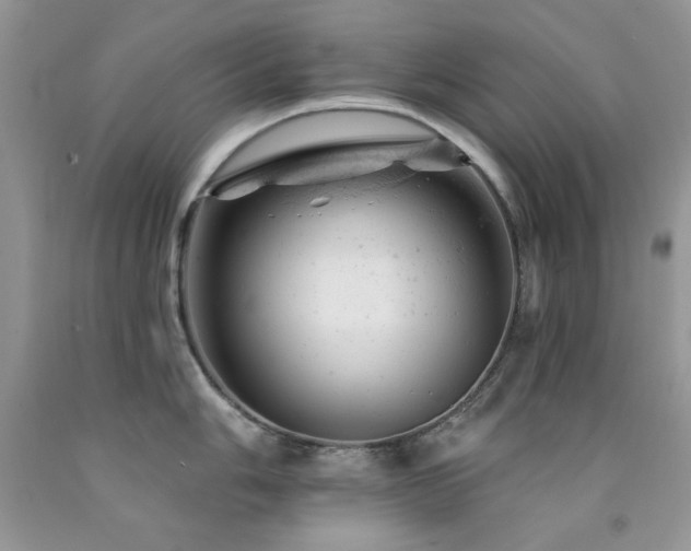 X0000092301006200709141316