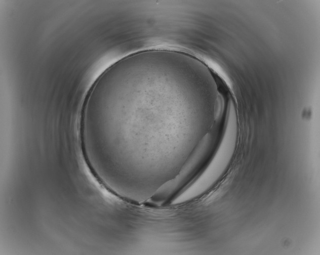 X0000092301007200709141316