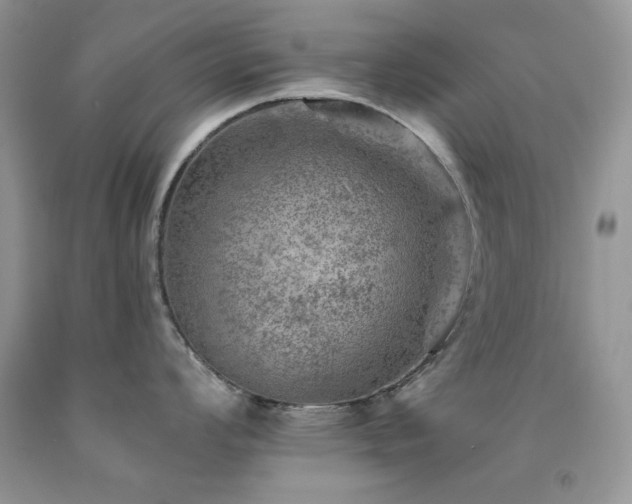 X0000092301008200709141316