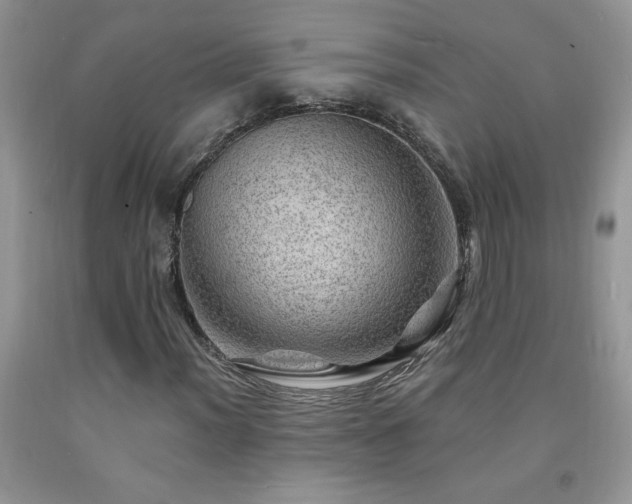 X0000092301012200709141315