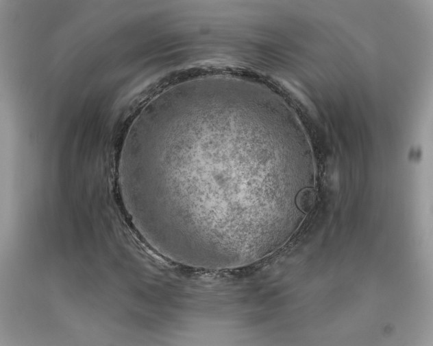 X0000092301015200709141315