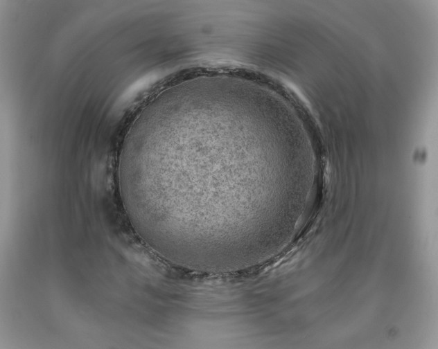X0000092301016200709141315