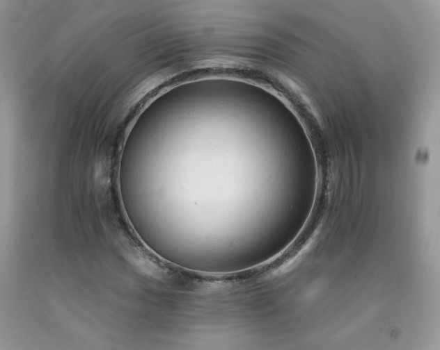 X0000092301017200709141315