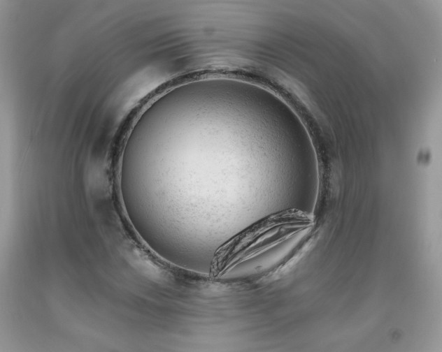 X0000092301018200709141315