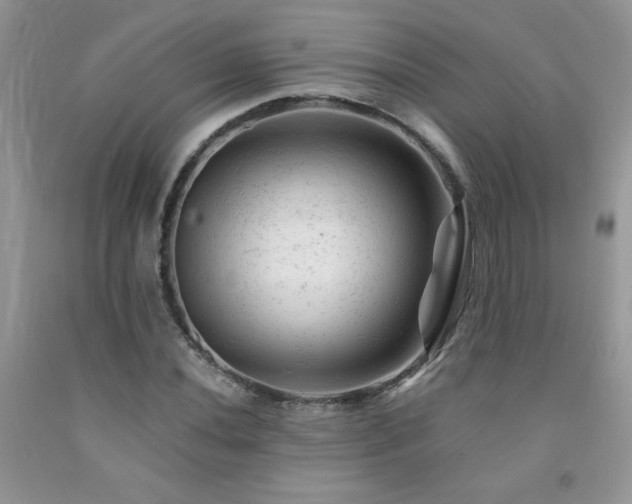 X0000092301020200709141315