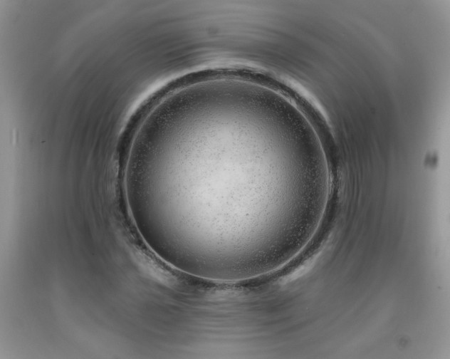 X0000092301021200709141315