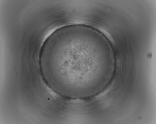 X0000092301023200709141315