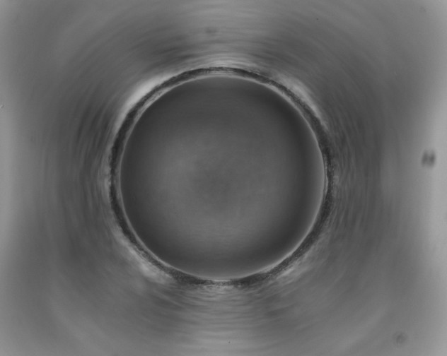 X0000092301024200709141315