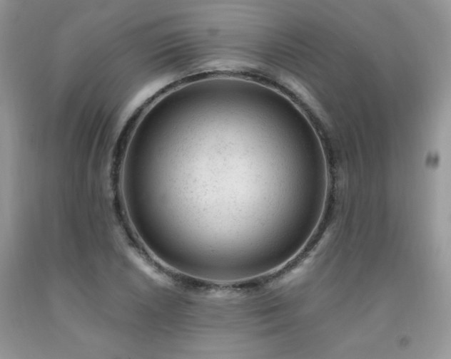 X0000092301026200709141315