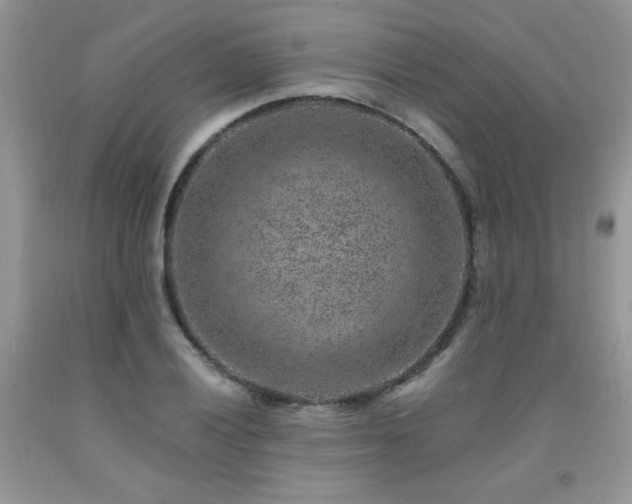 X0000092301028200709141315