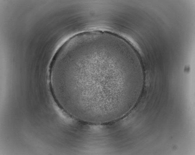 X0000092301031200709141315