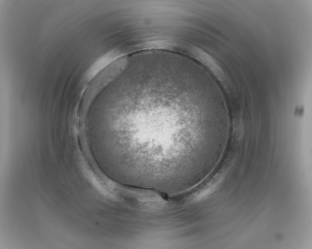 X0000092301034200709141315
