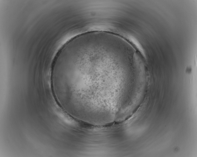 X0000092301035200709141315