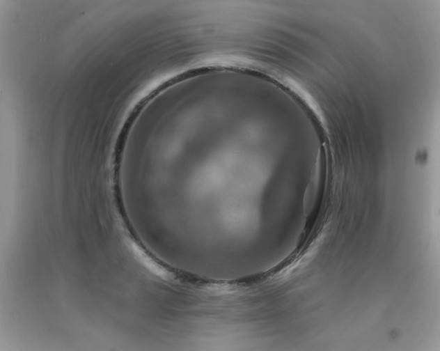 X0000092301037200709141315