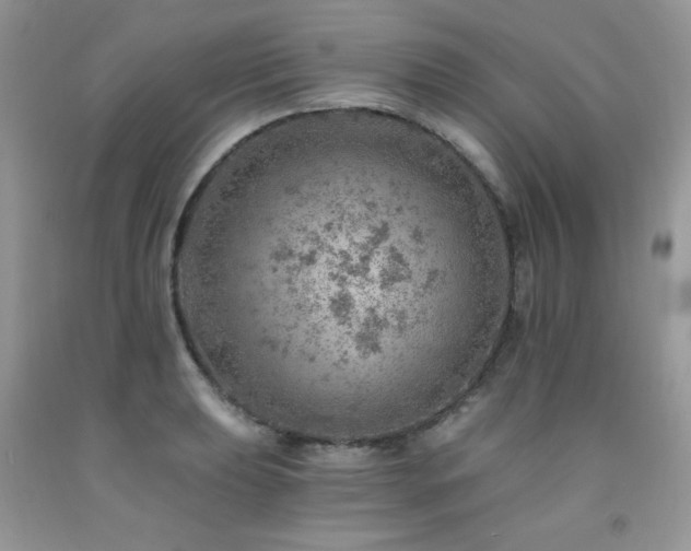 X0000092301039200709141316