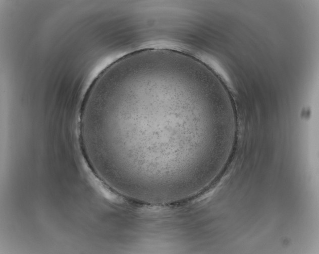 X0000092301040200709141316
