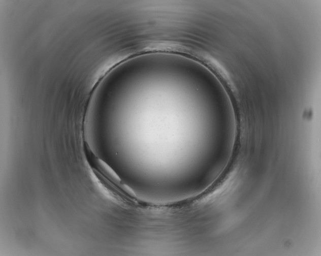 X0000092301041200709141316