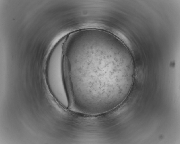 X0000092301043200709141316