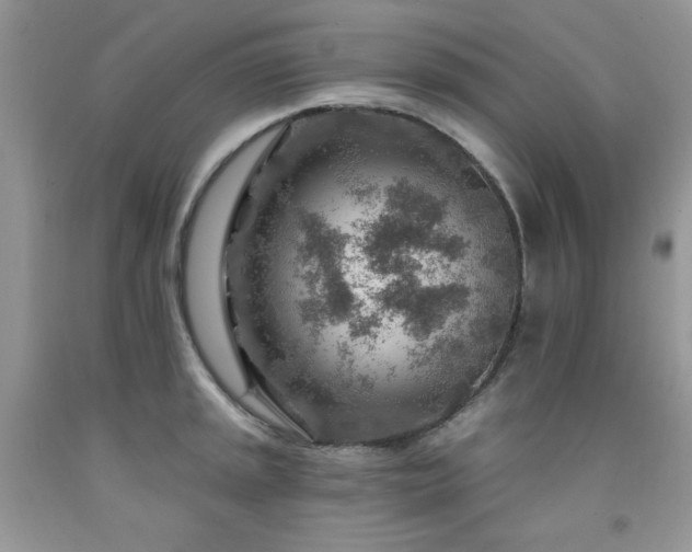 X0000092301045200709141316