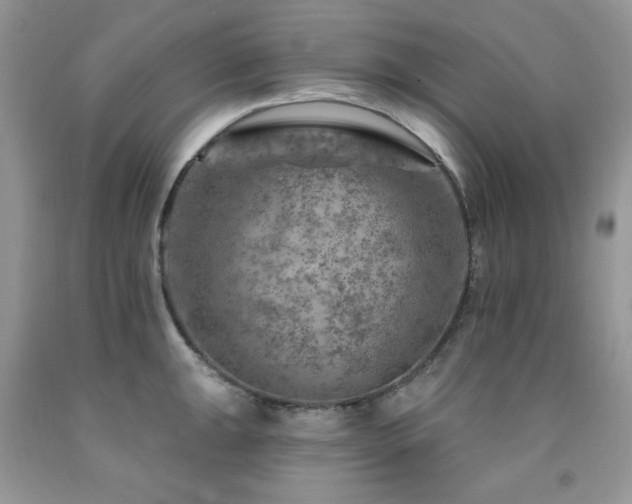 X0000092301047200709141316