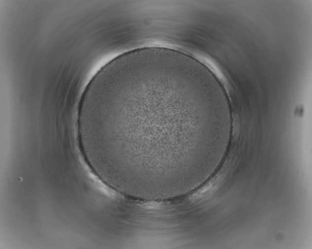X0000092301048200709141316