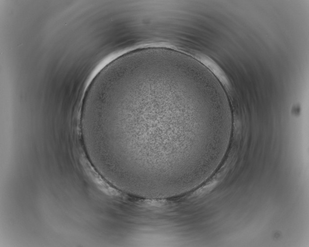 X0000092301052200709141316