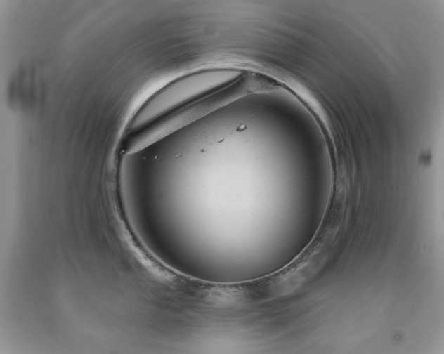 X0000092301053200709141316