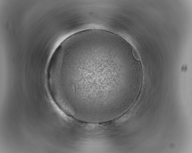 X0000092301056200709141316
