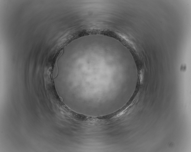 X0000092301059200709141315
